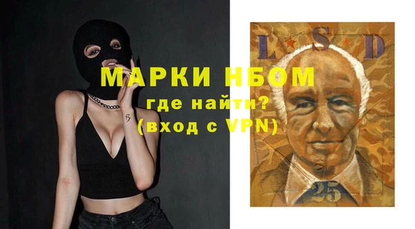 твердый Верхний Тагил