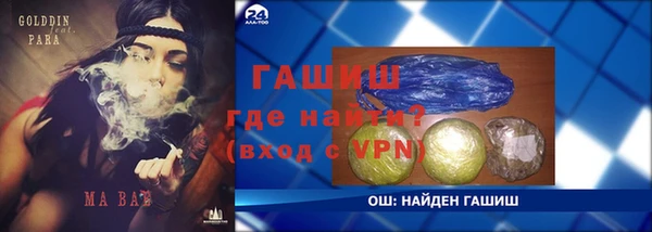 прущие грибы Бронницы