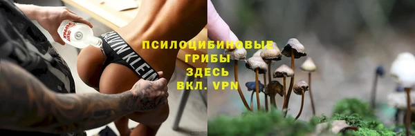 твердый Верхний Тагил