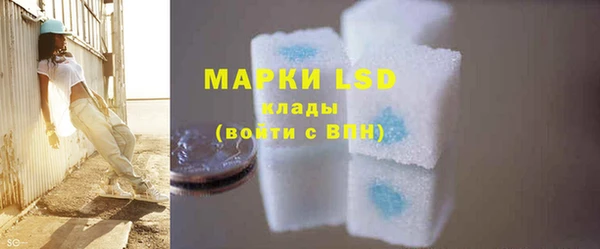 прущие грибы Бронницы