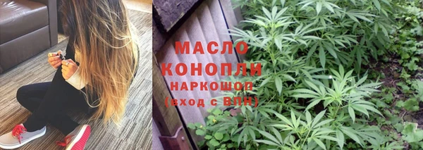 твердый Верхний Тагил